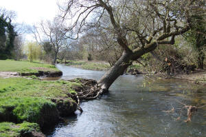 River Yare at Earlham