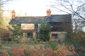 Ted Ellis' Cottage at Wheatfen Broad