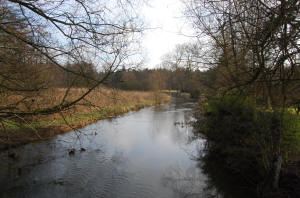 River Wissey at Ickburgh