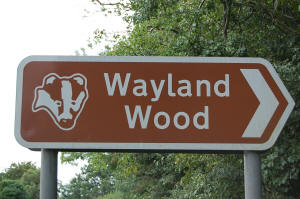 Wayland Wood Sign